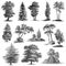 Set of 13 Hand Drawn Vintage Trees