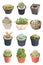 Set of 15 Variety Cactus Potted Plants.