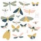 Set of 20 insects neutral colors. Set of stickers. Perfect for wallpapers, gift paper, greeting cards, fabrics, textiles