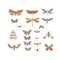 Set of 20 insects neutral colors. Set of stickers. Perfect for wallpapers, gift paper, greeting cards, fabrics, textiles