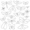 Set of 20 winged insects isolated on a white background. All objects are separated. Vector illustration. Hand drawn.