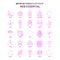 Set of 25 Feminish Web Essential Flat Color Pink Icon set