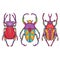 Set of 3 Beetle Bugs, Insect Colorful Hand Drawn