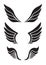 Set of 3 pair of decorative vector wings for your design.