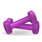 Set of 3d Dumbbells Set, Realistic Detailed Closeup View Isolated on white background. Purple sport Element. Vector illustration