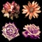 Set of 4 in 1 tender soft color retro flowers: pelargonium, roses and decorative sunflower isolated