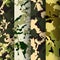 Set of 4 fashion camouflage patterns. Vector illustration. Can be used for textile or print design.Forest,