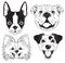 A set of 4 line drawings of dogs faces