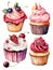 set of 4 of watercolor clip art high detailed cupcakes pink and vanilla, with strawberry and blueberry on white background