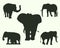 Set of 5 elephant silhouettes