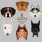 Set of 6 dog\'s head. Flat design. Pets. Cute doggies