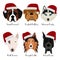 Set of 6 dog`s head. Flat design. Pets. Cute doggies. Icon or logo. Cartoon character