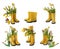 Set 6 pair of yellow gumboots and daffodils, tulips, mimosa iso