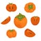 The set of 7 ripe persimmons. Persimmon whole and pieces. Vector illustration of fruits