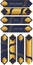 Set of 8 Golden and Blue Banners, Titles, Ribbons, Label, Frame that can be used in a variety of Projects. Illustration