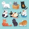 Set of 9 beautiful colored trendy cartoon cats. Different breeds. They are playing, having rest, interested in something. Isolated