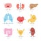 Set of 9 human organs in cartoon style: brain, kidneys, liver, lungs, heart, stomach, intestine, bladder and spleen.