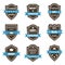 Set of 9 vintage badges. Shields with ribbons. Sale, premium qua