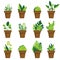 Set of abstract green plants in flower pots. Assorted potted plants. Home gardening illustration in modern simple flat