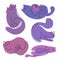 Set of abstract lazy cats with a contour drawing. Hand-drawn flat pets. Vector playful kittens