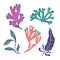 Set of abstract seaweed. Flat cartoon sea algae illustration