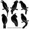 Set of abstract silhouettes of parrots, isolated, for logo, on a white background