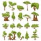 Set of abstract stylized trees. Vector park and garden trees and bushes. Green forest plants collection. Green tree and