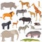 Set of african animals