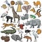 Set of African animals