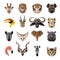 Set of african animals faces icons. Flat