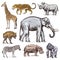 Set of African animals. Rhinoceros Elephant Giraffe Hippopotamus Leopard Hyena Western gorilla Wild zebra. Engraved hand