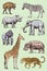 Set of African animals. Rhinoceros Elephant Giraffe Hippopotamus Leopard Hyena Western gorilla Wild zebra. Engraved hand