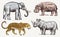 Set of African animals. Rhinoceros Elephant Hippopotamus Leopard. Engraved hand drawn Vintage old monochrome safari