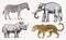 Set of African animals. Rhinoceros Elephant Leopard. Engraved hand drawn Vintage old monochrome safari sketch. Vector