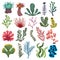 Set of algae. Collection of cartoon algae. Vector illustration for children of underwater plants.