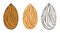 Set almonds. Almonds are edible seed kernels or the seeds of the plant of the same name.