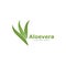 Set of aloevera logo template vector icon