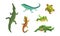 Set of amphibians. Turtle, varan, crocodile, lizard crawling animals cartoon vector illustration