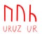 Set of ancient runes. Versions of Uruz rune with German, English and Old Scandinavian titles