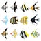 Set of angel fish Cartoon