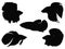 Set of Angle Fish Silhouette vector art