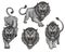 Set of angry, roar lion. Predator animal. Lion king color logo.