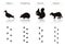 Set of Animal and Bird Trails with Name.