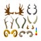 Set of Animal Horns Isolated on White Background. Deer, Reindeer or Elk with Gazelle and Unicorn. Hunter Trophy Antelope