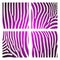 Set of animal pattern. Imitation print of skin of zebra. Black purple stripes on white background.