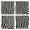 Set of animal pattern. Imitation print of skin of zebra. Black stripes on gray background.