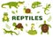 Set of Animal Reptile Template Hand Drawn Cartoon Flat Illustration with Various Types of Reptiles Animals Concept