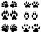 Set of animal trails, footprints with name on white background. silhouettes illustration