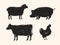 Set of animals for the butcher shop. Cow, pig, chicken and lamb symbol or icon. Vector illustration