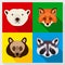 Set of animals with Flat Design. Symmetrical portraits of animals. Vector Illustration. Polar bear, raccoon, red fox, brown bear.
